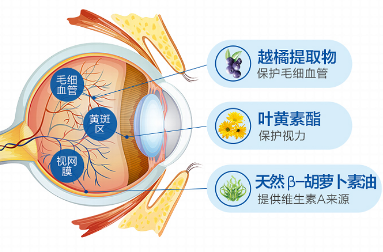 叶黄素和花青素哪个对眼睛好叶黄素什么牌子好