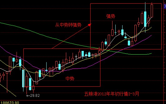 五粮液股票行情创历史最佳